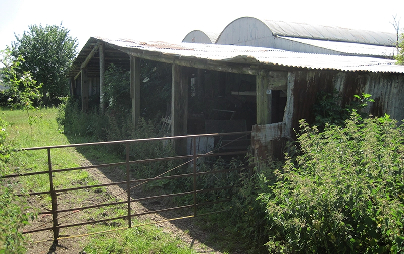 Prewett Bizley Insights Design Process Barn